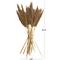 Dried Plant Bamboo Natural Foliage with Long Stems